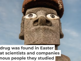 The Rapa Nui people are mostly invisible in the origin story of rapamycin. Posnov/Moment via Getty Images